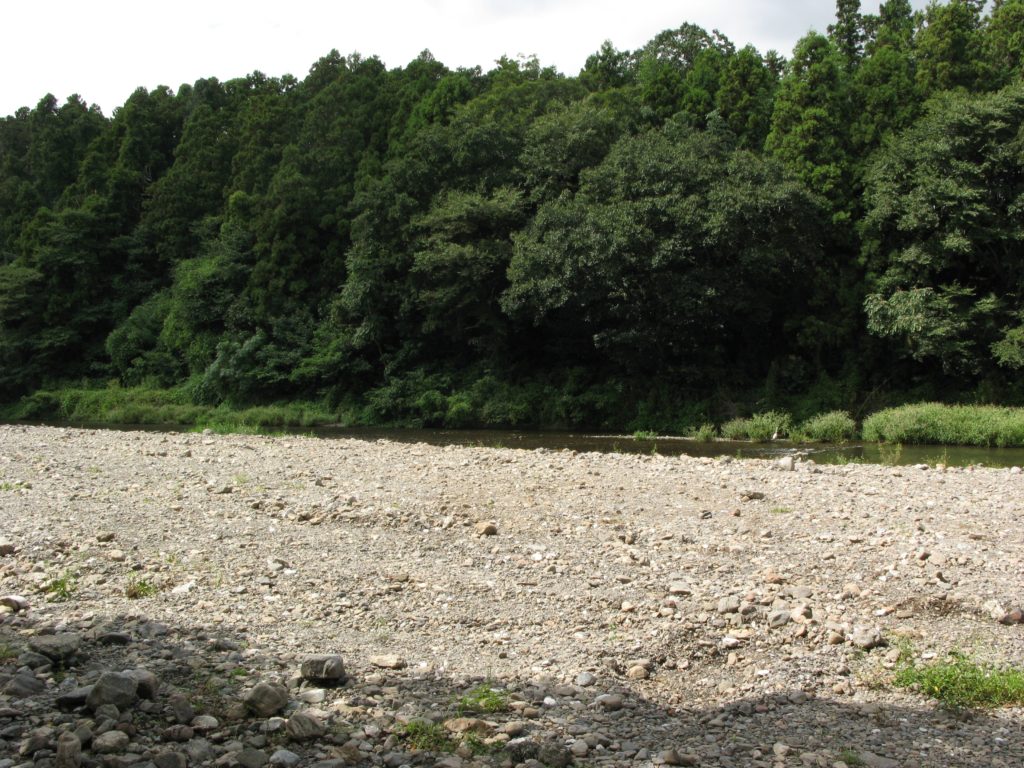 巾着田付近の川原