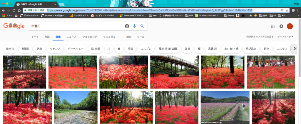 Google画像検索「巾着田」より