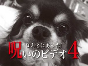 ほんとにあった！呪いのビデオ4 呪われた病院編（ネタバレあり）