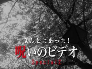 ほんとにあった！呪いのビデオ Special 2（ネタバレあり）