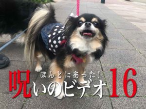 ほんとにあった！呪いのビデオ16（ネタバレあり）