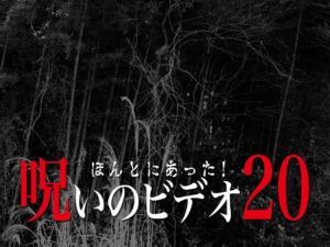 ほんとにあった！呪いのビデオ20（ネタバレあり）