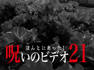 ほんとにあった！呪いのビデオ21（ネタバレあり）