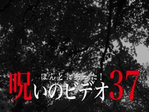 ほんとにあった！呪いのビデオ37（ネタバレあり）