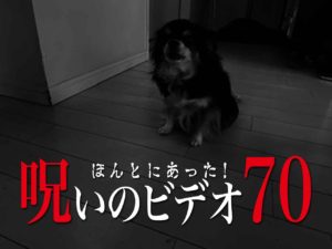 ほんとにあった！呪いのビデオ70（ネタバレあり）