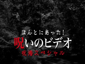 ほんとにあった！呪いのビデオ 呪海スペシャル（ネタバレあり）