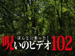 ほんとにあった! 呪いのビデオ 102（ネタバレ注意）