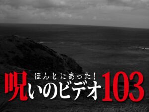 ほんとにあった! 呪いのビデオ 103（ネタバレ注意）